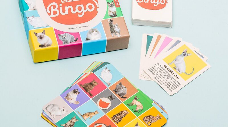 Lees alles over  Huisdier Bingo - Kat en bestel deze goedkoop online